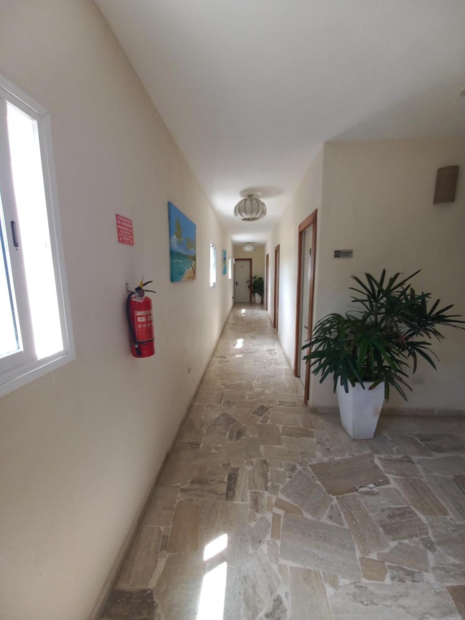 Hotel Casa Olga Las Terrenas Bagian luar foto